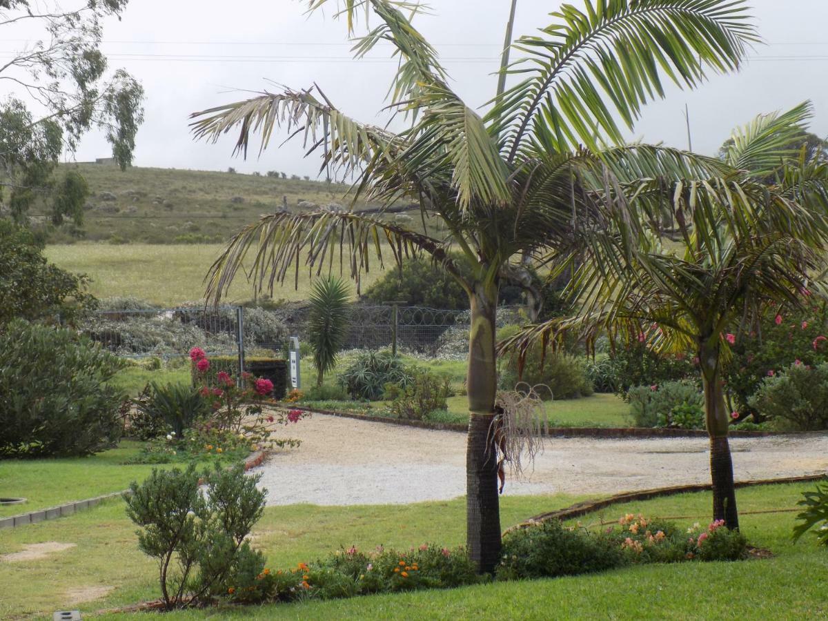 Haka Hana B&B Port Elizabeth Luaran gambar